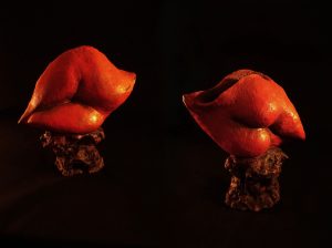 Rouge Baiser - Argile cuite patinée 29 x 28 cm 750€